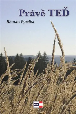 Právě teď - Roman Pytelka