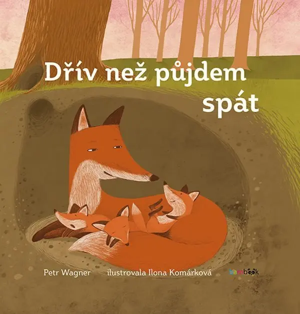 Dřív než půjdem spát - Petr Wagner