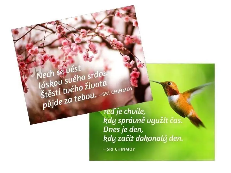 Magnet na lednici 2 ks Teď je chvíle + Nech se vést - Sri Chinmoy