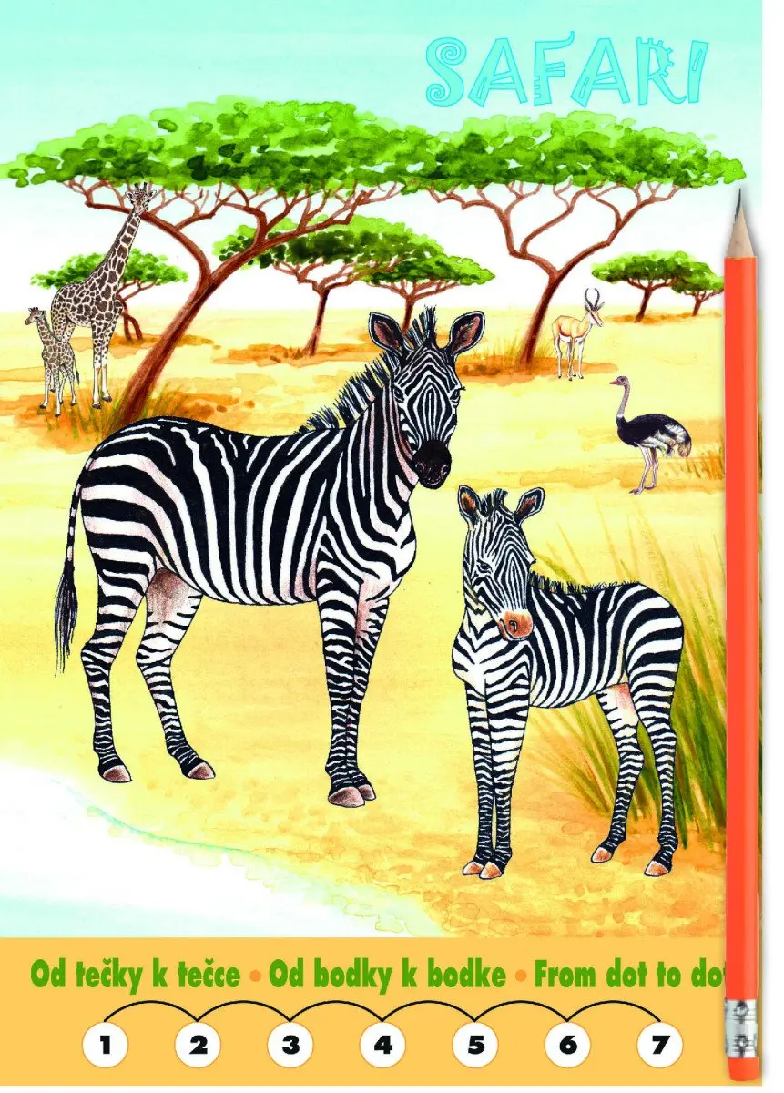 Safari - Omalovánky | Neuveden