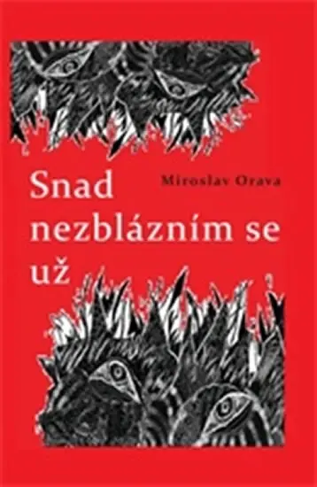 Snad nezblázním se už - Miroslav Orava