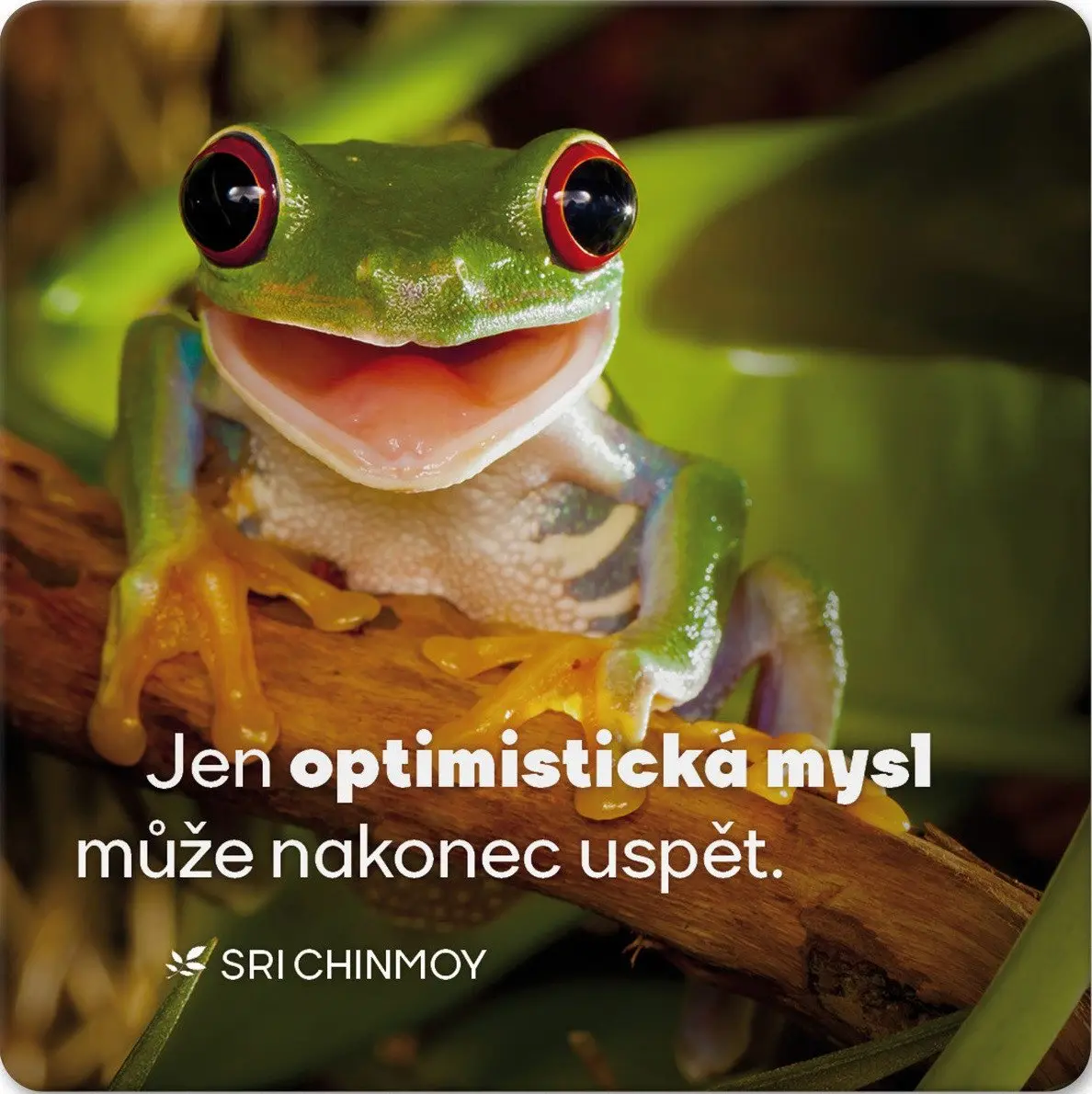 Korkový podtácek s citátem Jen optimistická mysl může nakonec uspět - Sri Chinmoy