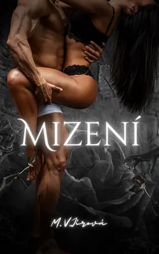Mizení (Michaela Jírová, 2024)