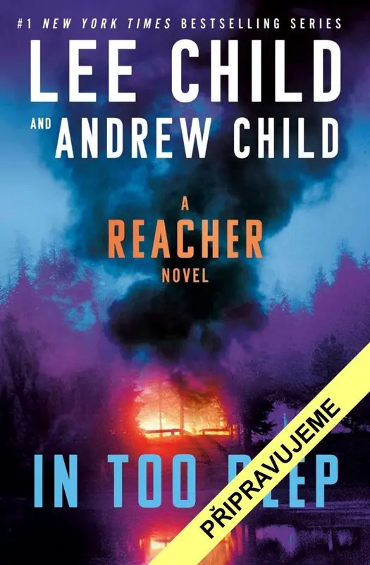 Na tenkém ledě - Lee Child
