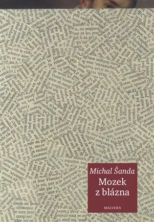 Mozek z blázna - Michal Šanda