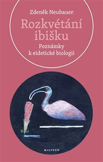 Rozkvétání ibišku - Poznámky k eidetické biologii - Zdeněk Neubauer