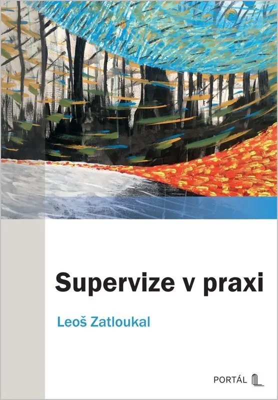 Supervize v praxi