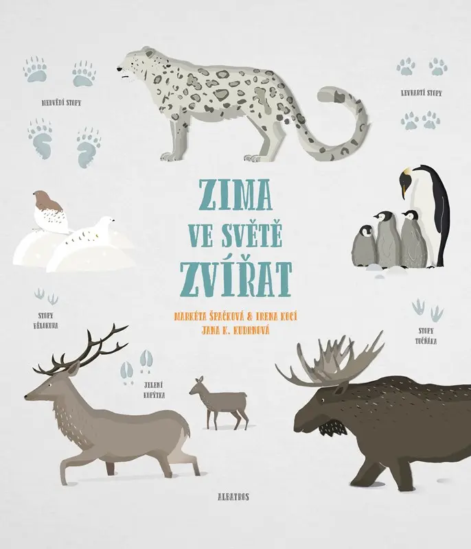 Zima ve světě zvířat - Markéta Špačková