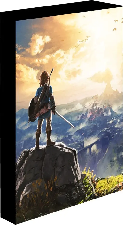 Pyramid International Zelda Obraz LED svítící 30x40 cm