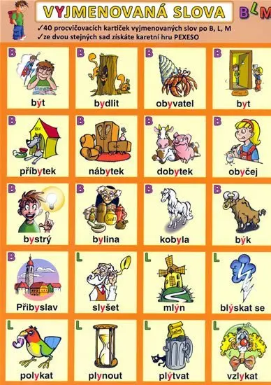 Vyjmenovaná slova - BLM - kolektiv autorů