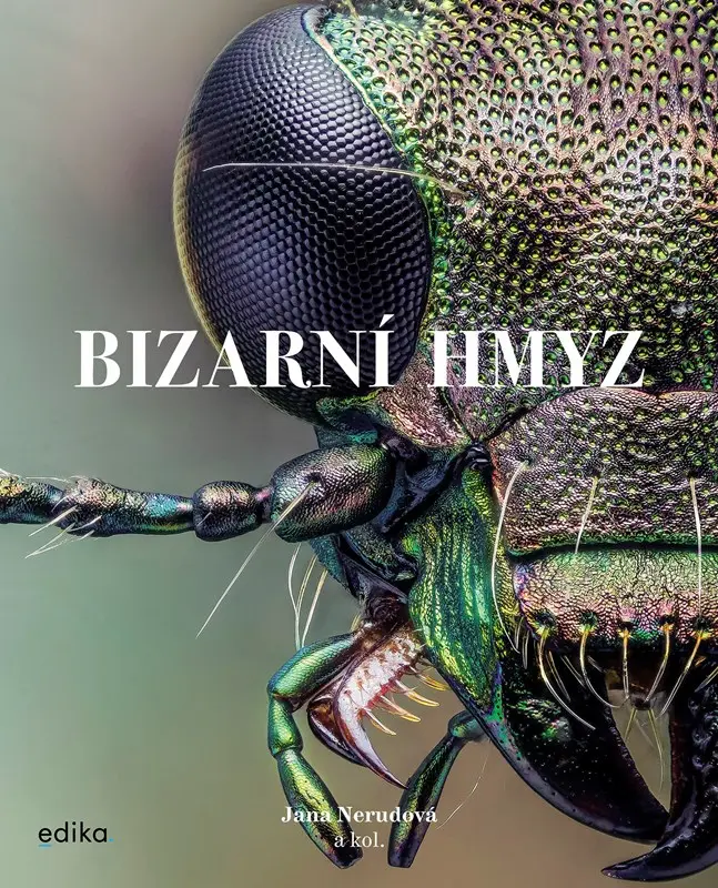 Bizarní hmyz - Miroslav Ambroz