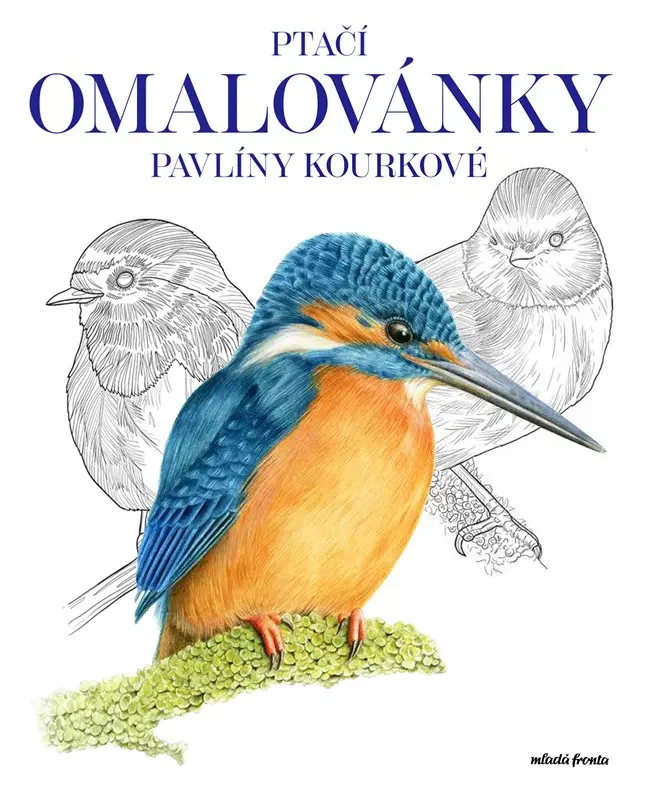 Ptačí omalovánky Pavlíny Kourkové