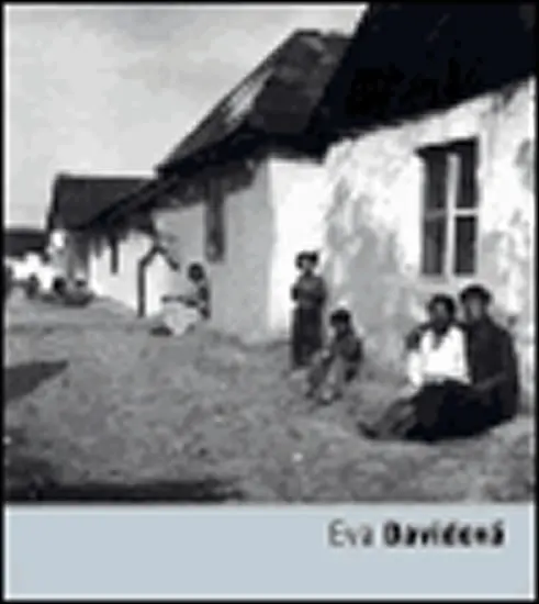 Eva Davidová - kolektiv autorů