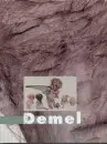 Karel Demel - Lukas Rous