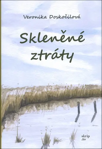 Skleněné ztráty - Veronika Doskočilová