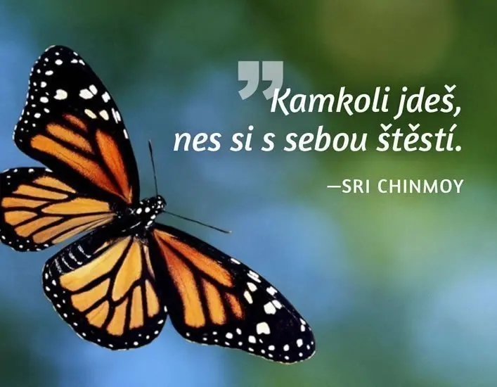 Magnet na lednici - Kamkoli jdeš, nes si s sebou štěstí. - Sri Chinmoy