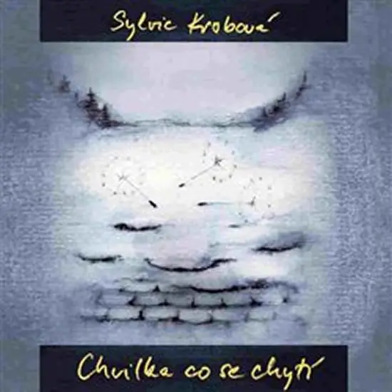 Chvilka, která se chytí - (audiokniha) - Sylvie Krobová
