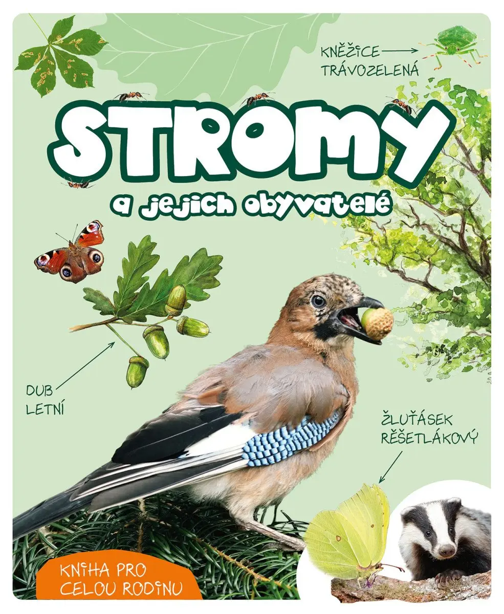 Stromy a jejich obyvatelé