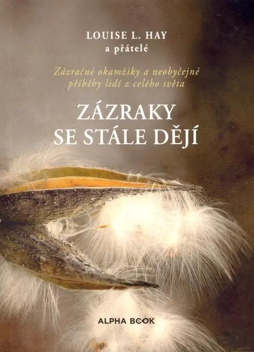 Zázraky se stále dějí - Louise L. Hay