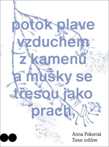 Tanec světlem - Anna Pokorná