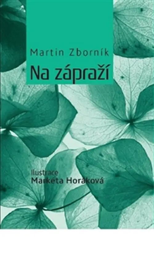 Na zápraží - Martin Zborník