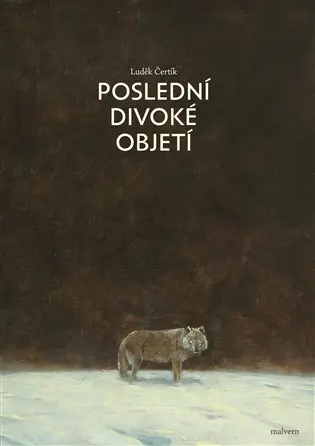 Poslední divoké objetí - Luděk Čertík