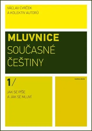 Mluvnice současné češtiny I - Jak se píše a jak se mluví - Eva Stejskalová
