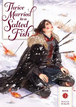 Thrice Married to a Salted Fish (Novel) Vol. 3 - Ka Bi Bi