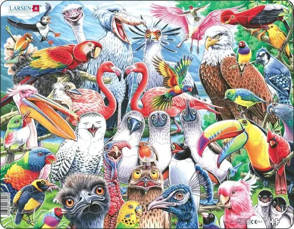 Veselé vtáky z celého sveta (CZ5) - puzzle z kategorie Náučné puzzle