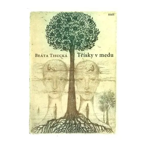 Třísky v medu - Beáta Tisucká