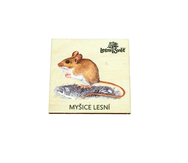 Magnet malý - Myšice