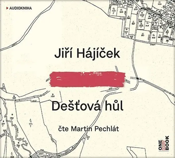 Dešťová hůl (MP3-CD) - audiokniha