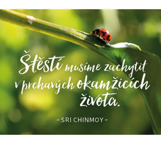Štěstí musíme zachytit v prchavých okamžicích života - Sri Chinmoy