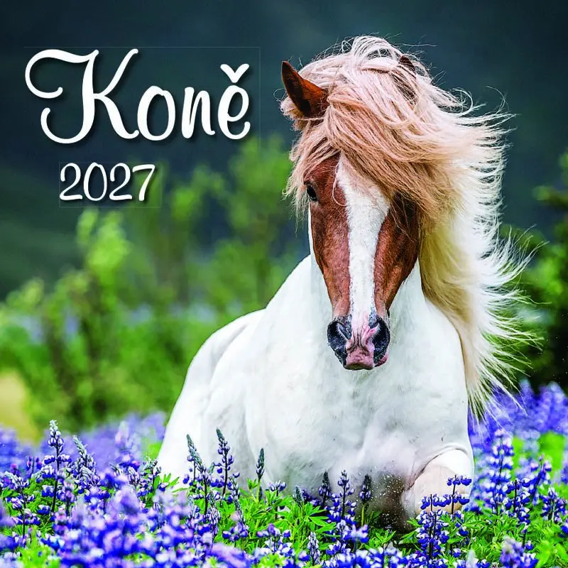 Kalendář 2027 nástěnný: KONĚ