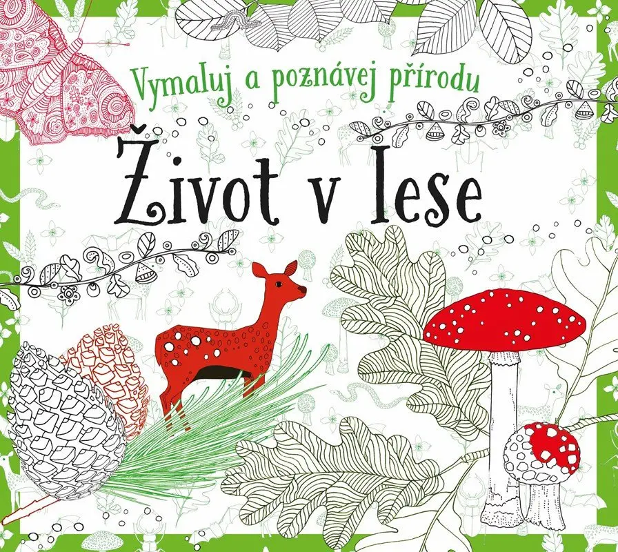 Život v lese - omalovánky - Susie Foster