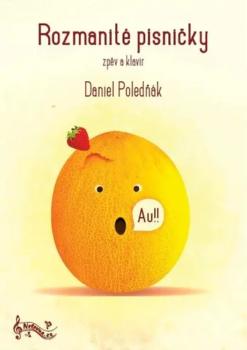 Rozmanité písničky - zpěv a klavír - Daniel Poledňák