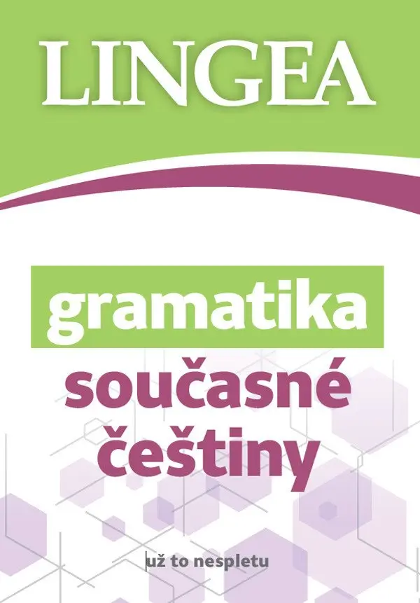 Gramatika současné češtiny... už to nesp - kolektiv autorů
