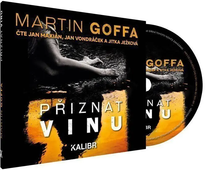 Přiznat vinu (audiokniha) - Martin Goffa