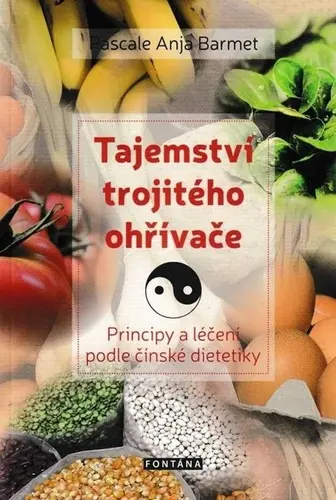 Tajemství trojitého ohřívače - Principy a léčení podle čínské dietetiky - Pascale Anja Barmet