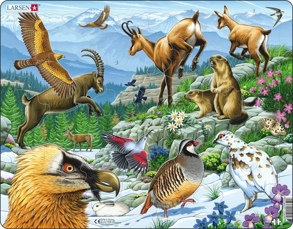 Alpská príroda (FH12),Alpská príroda (FH12) - puzzle z kategorie Náučné puzzle