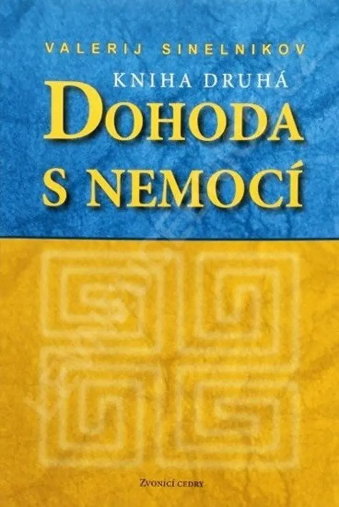 Dohoda s nemocí II - Valerij Sinelnikov