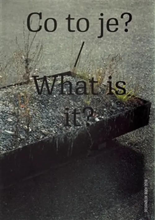 Co to je? / What is it? - Designblok Book 2016