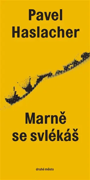 Marně se svlékáš - Pavel Haslacher