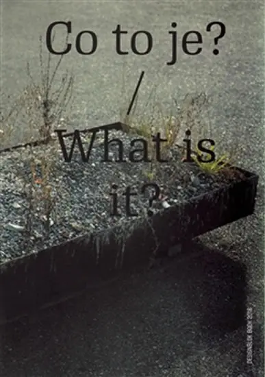 Co to je? / What is it? - Designblok Book 2016