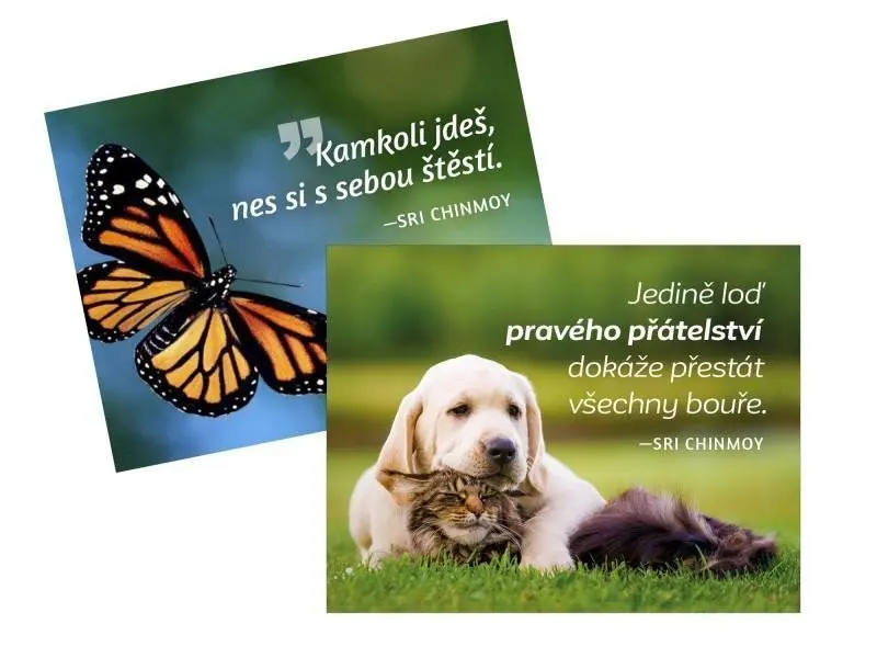 Magnet na lednici 2 ks Kamkoli jdeš + Jedině loď - Sri Chinmoy