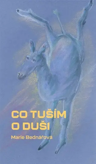 Co tuším o duši - Marie Bednářová