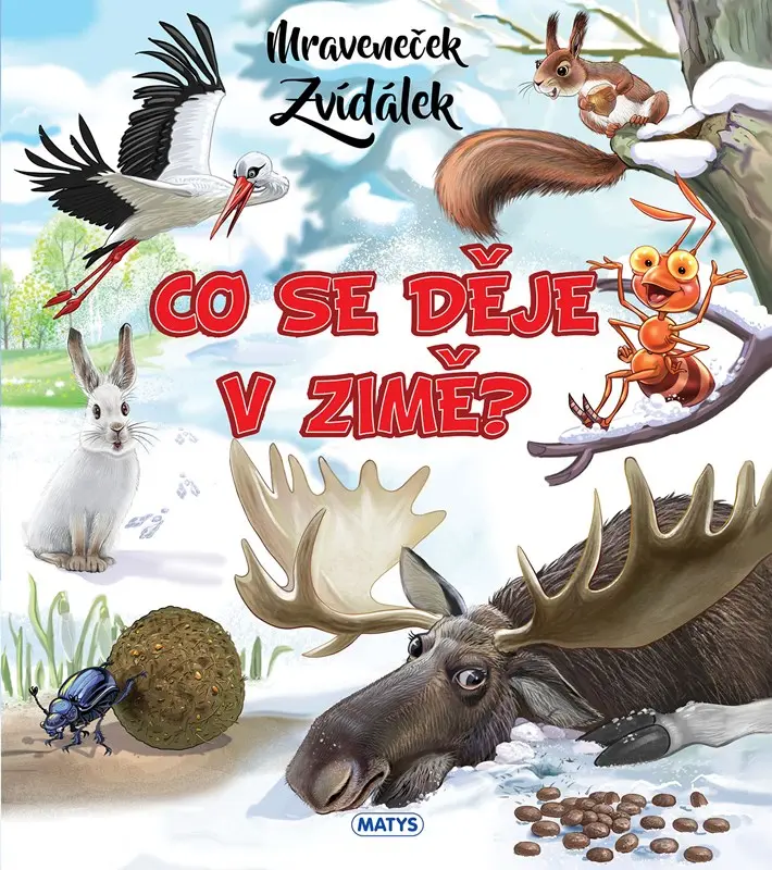 Mraveneček Zvídálek: Co se děje v zimě?