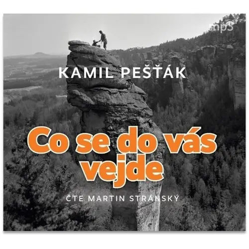 CD Co se do vás vejde (Čte Martin Stránský) (audiokniha) - Kamil Pešťák