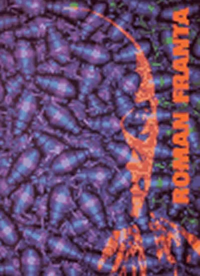 Obrazy / Paintings 1996-1999 - Roman Franta