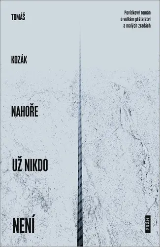 Nahoře už nikdo není - Povídkový román o velkém přátelství a malých zradách - Tomáš Kozák